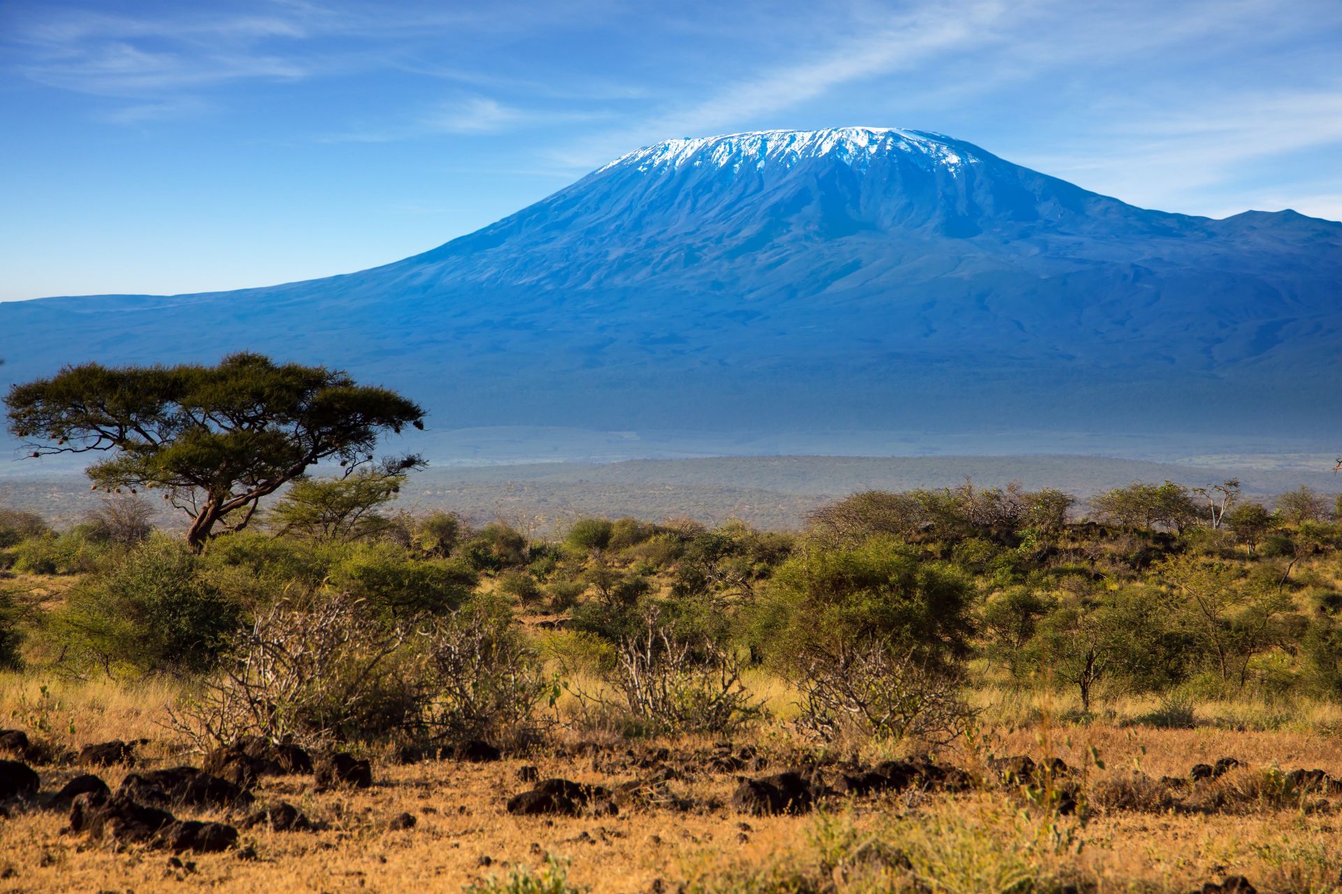 wycieczka Tanzania - Kilimandzaro - Zanzibar